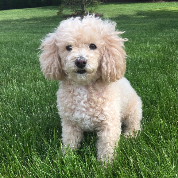 Obsessed with black, bold, shiny & sparkly - Picture 6 of 7